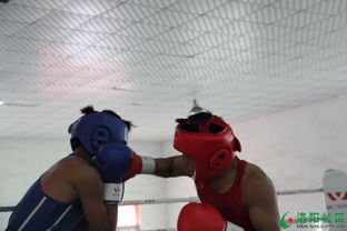 力量之搏 洛陽(yáng)第十二屆運(yùn)動(dòng)會(huì)拳擊比賽圓滿(mǎn)落幕