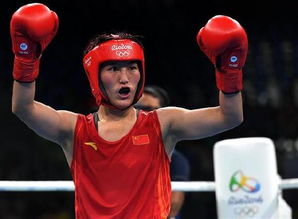 15日綜述 中國(guó)軍團(tuán)遭遇無(wú)金日，巴西喜添拳擊第二金