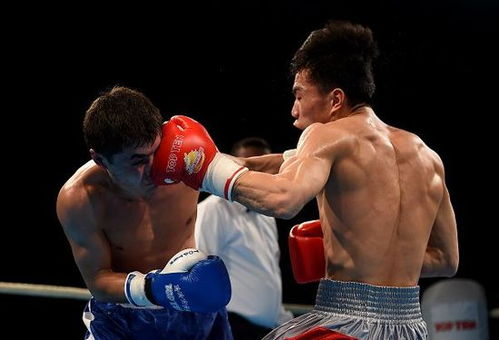 拳擊世錦賽中國(guó)雙雄晉級(jí)四強(qiáng)，明晨決戰(zhàn)奧運(yùn)資格