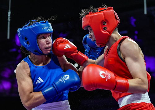 巴黎奧運會 楊文璐晉級拳擊女子60公斤級四分之一決賽，展現(xiàn)賽事組織與競技風(fēng)采